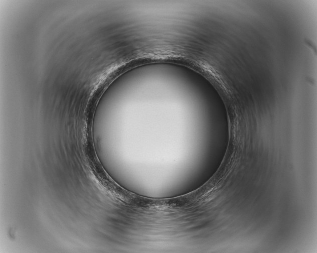 X0000102850540200808181049
