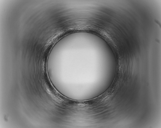 X0000102850542200808181049