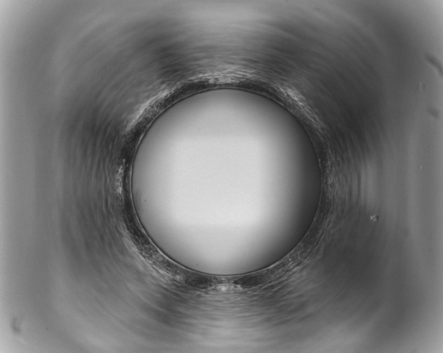 X0000102850543200808181049