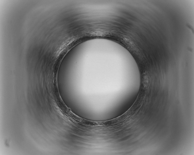 X0000102850544200808181049
