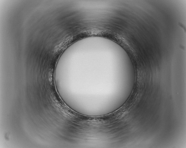 X0000102850545200808181049