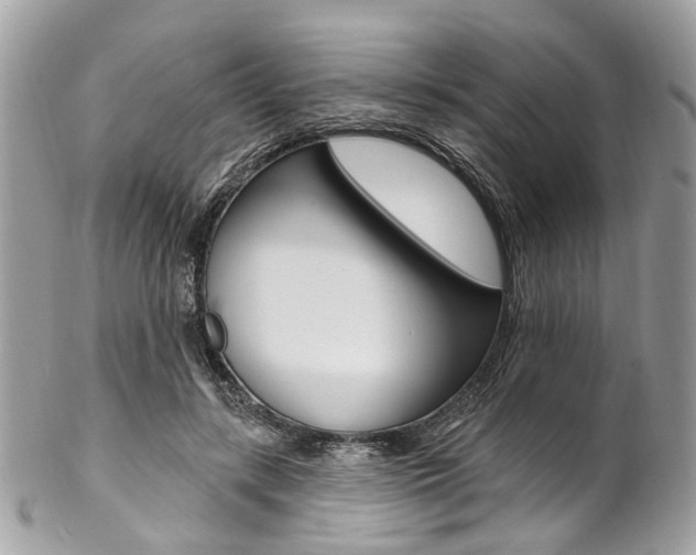 X0000102850547200808181049