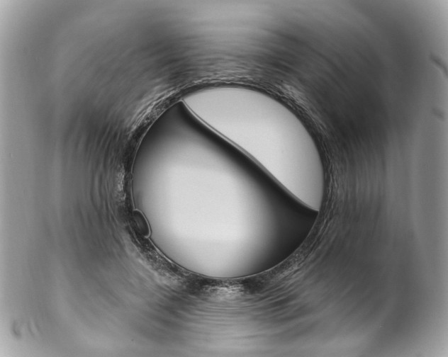 X0000102850548200808181049