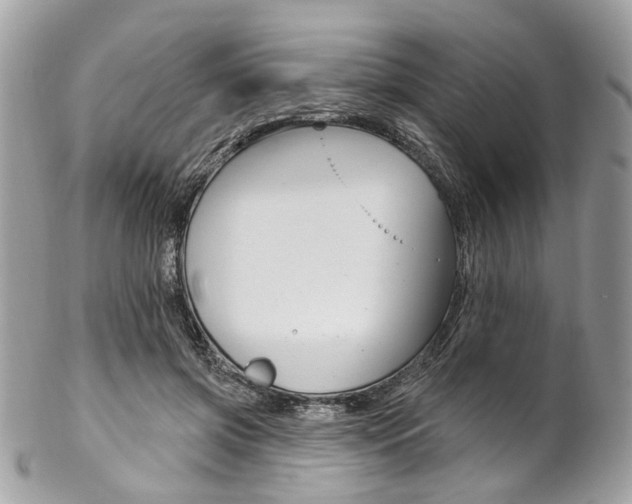 X0000102850549200808181049