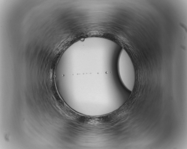 X0000102850550200808181049