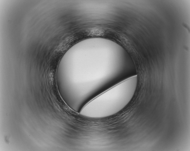 X0000102850551200808181049