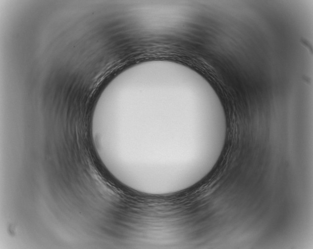 X0000102850552200808181049