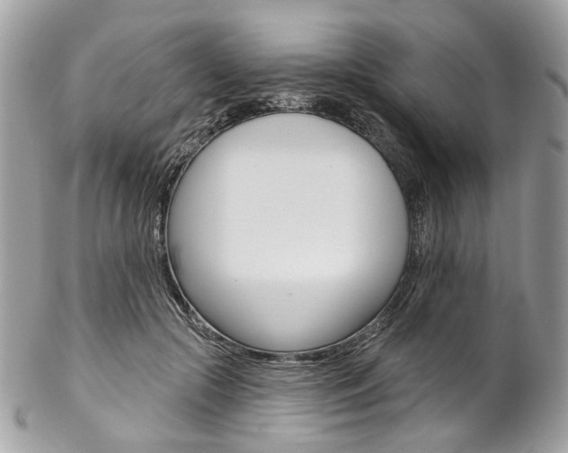 X0000102850553200808181049