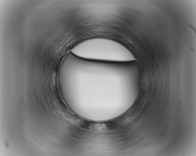 X0000102850554200808181049