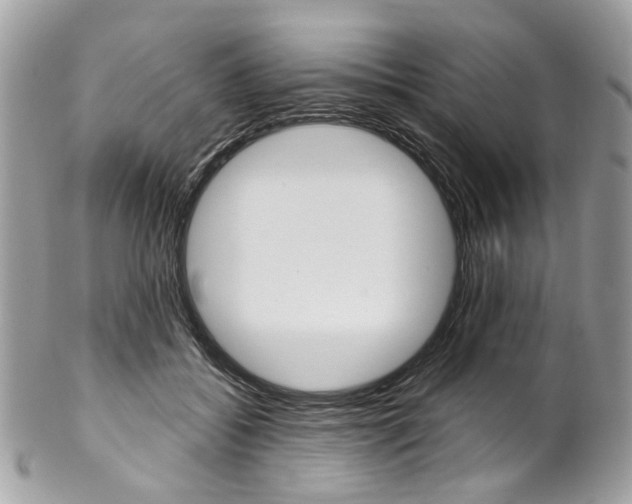 X0000102850556200808181049