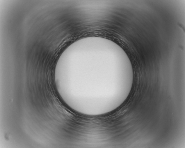X0000102850558200808181049
