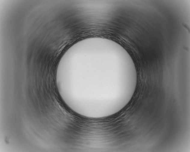 X0000102850560200808181049