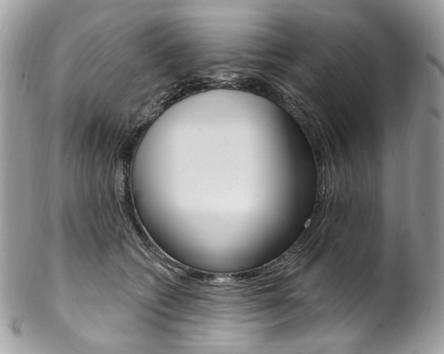 X0000102850562200808181049
