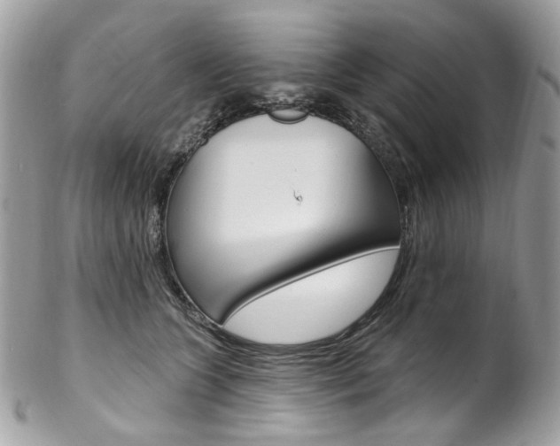 X0000102850563200808181049