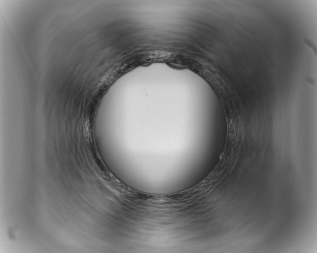 X0000102850564200808181049