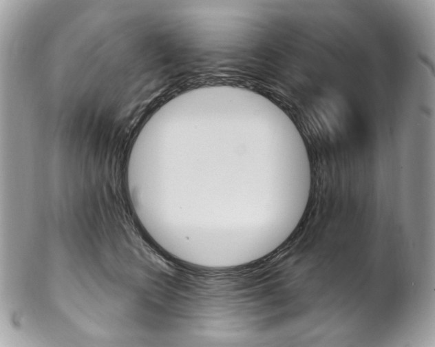 X0000102850566200808181049