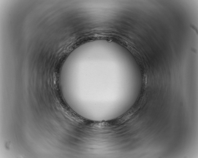 X0000102850567200808181049