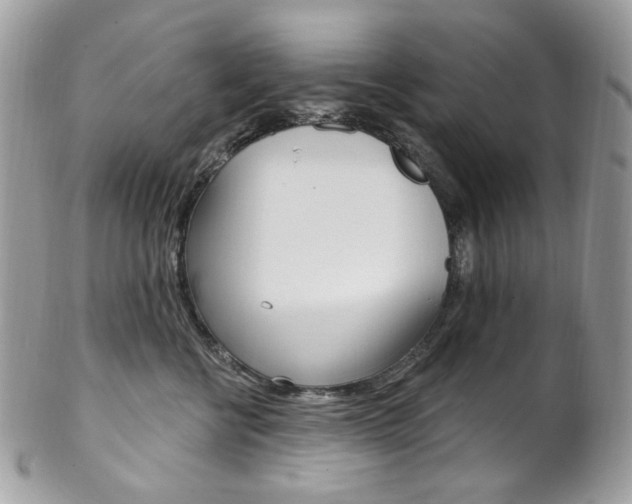 X0000102850570200808181049