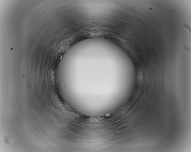 X0000102850571200808181050