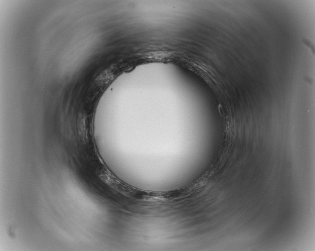 X0000102850572200808181050