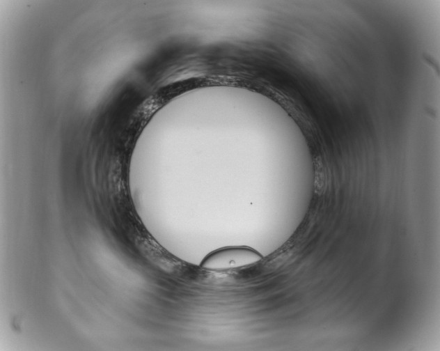 X0000102850573200808181050