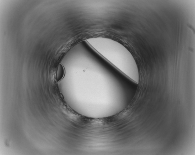 X0000102850574200808181050