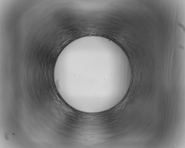 X0000102850576200808181050