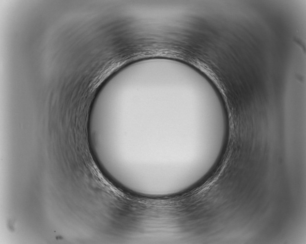 X0000102850577200808181049
