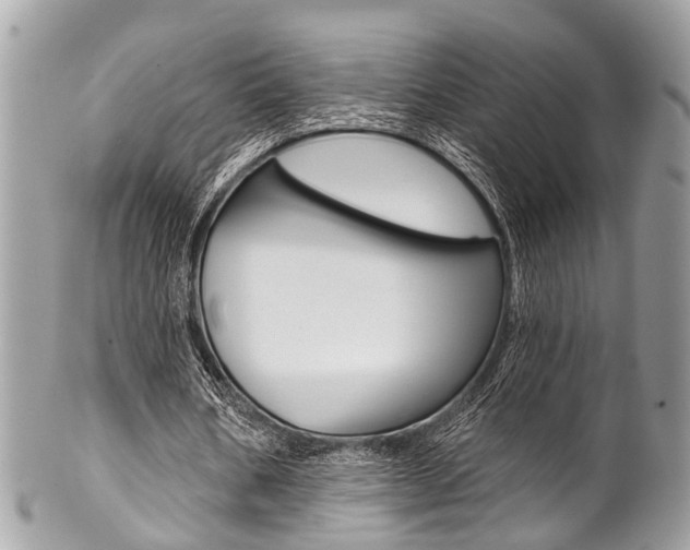 X0000102850578200808181049