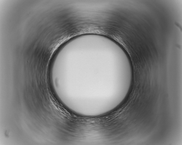 X0000102850579200808181049