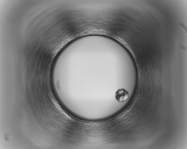 X0000102850581200808181049