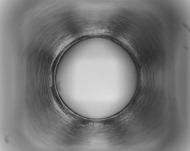 X0000102850582200808181049