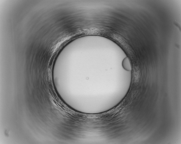 X0000102850583200808181049
