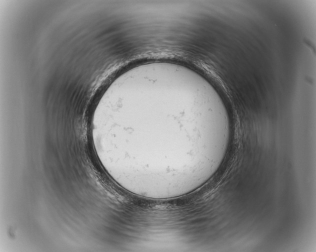 X0000102850584200808181049