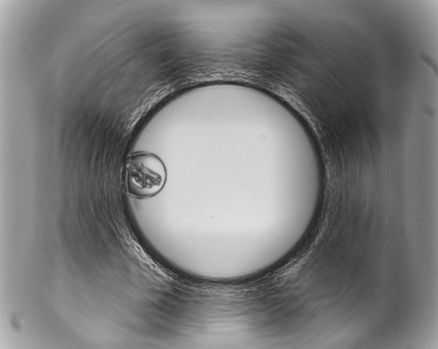 X0000102850585200808181049