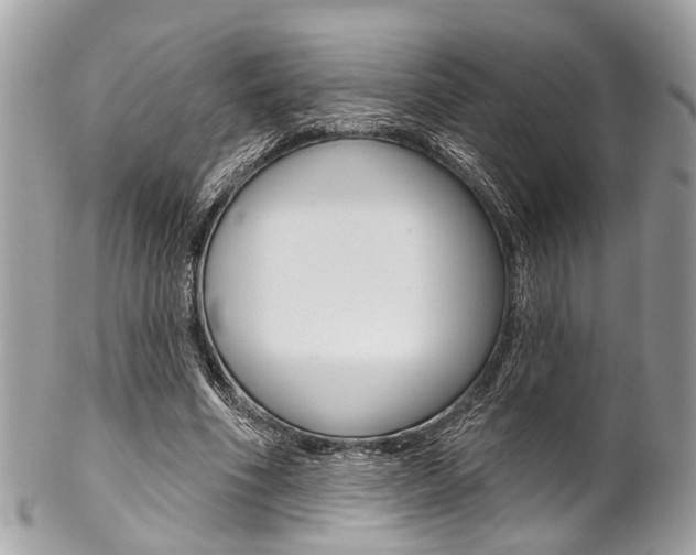 X0000102850586200808181049