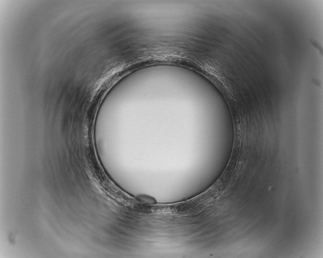 X0000102850587200808181049