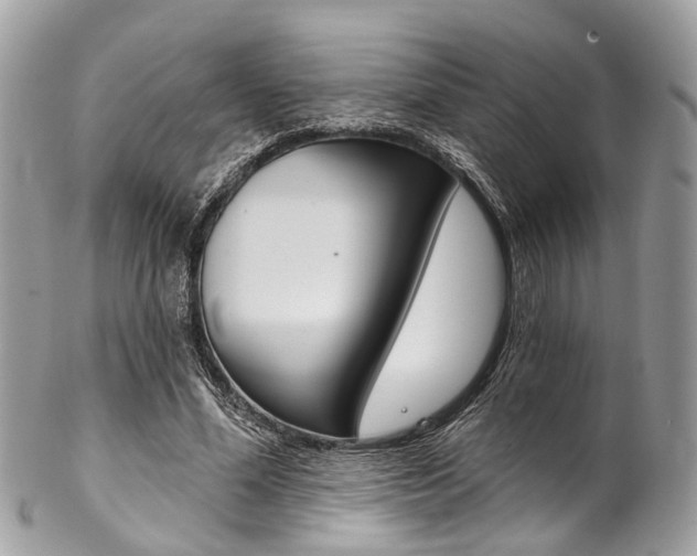 X0000102850588200808181049