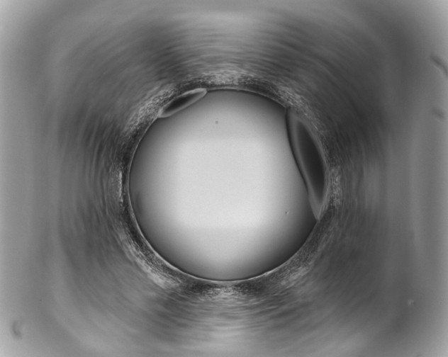 X0000102850589200808181049