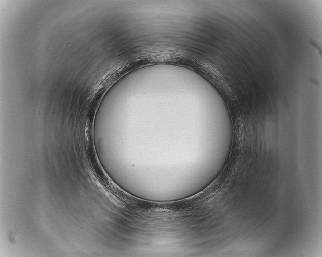 X0000102850590200808181049