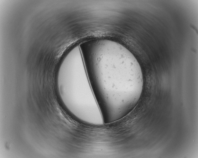 X0000102850592200808181049