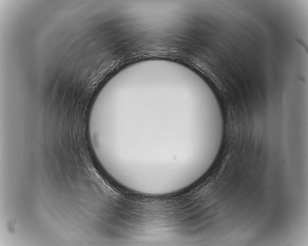 X0000102850593200808181049