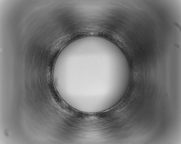X0000102850594200808181049