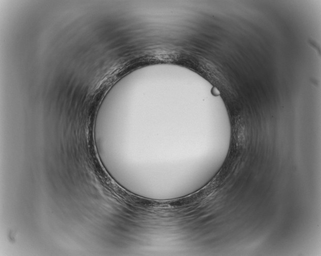 X0000102850595200808181049