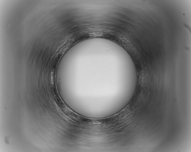X0000102850598200808181049