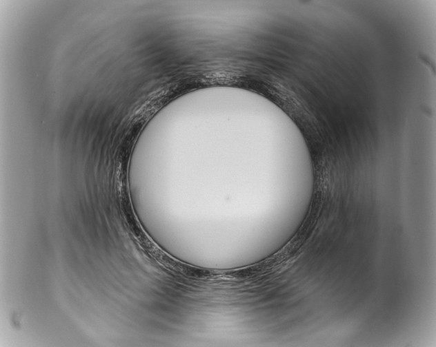 X0000102850599200808181049