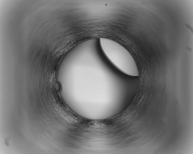 X0000102850601200808181049