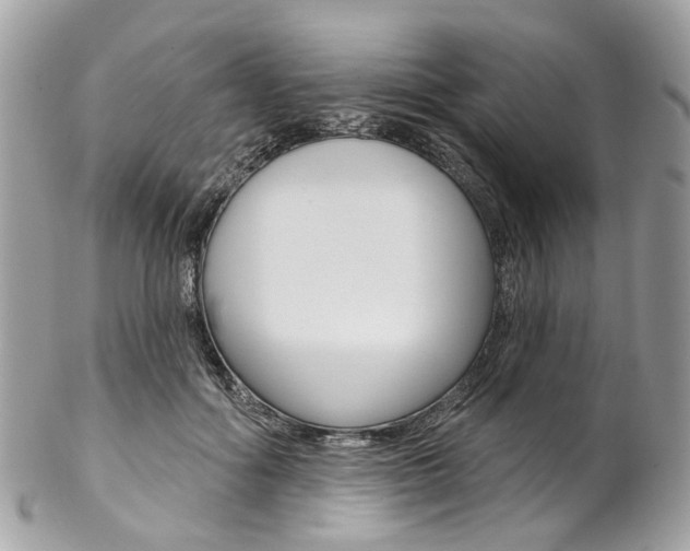 X0000102850602200808181049