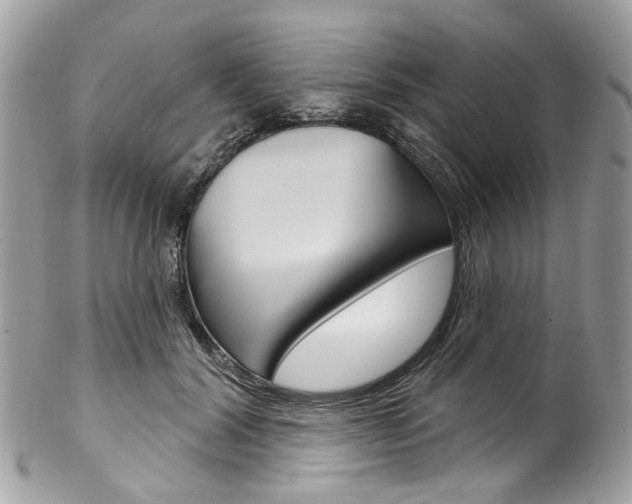 X0000102850604200808181049