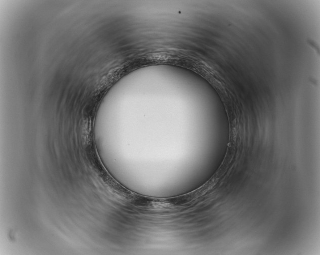X0000102850605200808181049